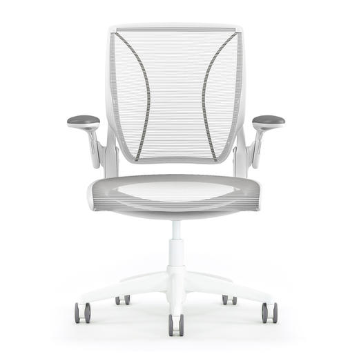 Humanscale/优门设World人体工学椅透气网面办公椅家用电脑椅 99新 商品图3