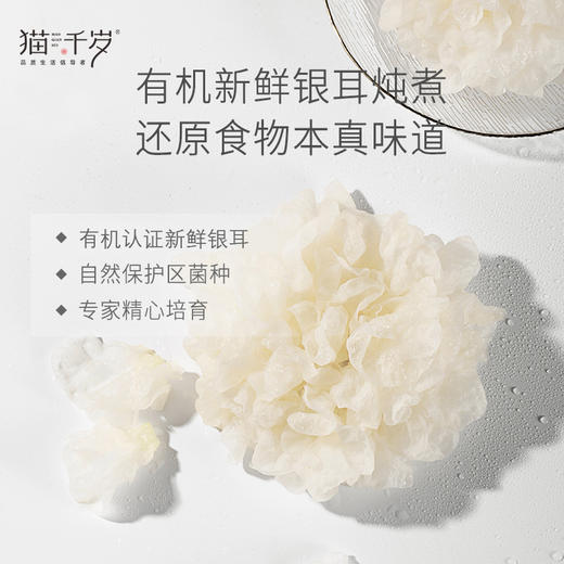 猫千岁燕窝银耳鲜露滋补220ml*6瓶装/12瓶装 商品图3