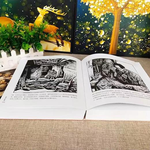 地球的红飘带【现货包邮】LHH0028 商品图2