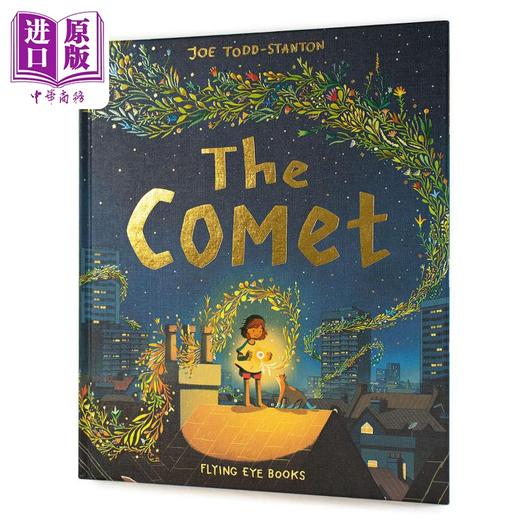 预售 【中商原版】2023卡内基插画奖 Joe Todd-Stanton 彗星 The Comet 英文原版 进口图书 获奖名家儿童绘本 故事图画书 3-5岁 商品图8
