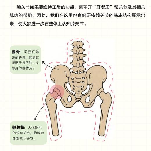 《缓解膝盖疼痛，这么练就对了》《缓解肩部疼痛，这么练就对了》《缓解腰痛，这么练就对了》中老年大图大字版 商品图10