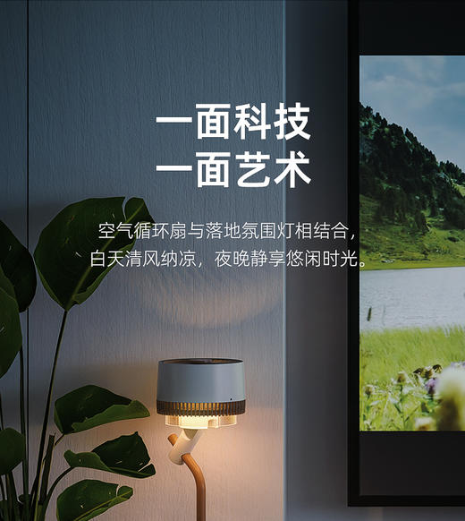 大宇空气循环扇 家用轻音立式智能摇头落地扇净化氛围灯小型电风扇F30 PRO 商品图1