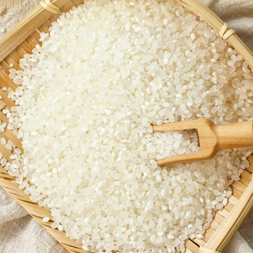 东北优质散大米(500g±50g) 商品图0