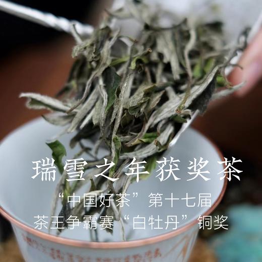 瑞雪之年获奖茶 2022 年白牡丹 收藏级福鼎白茶散茶 商品图0
