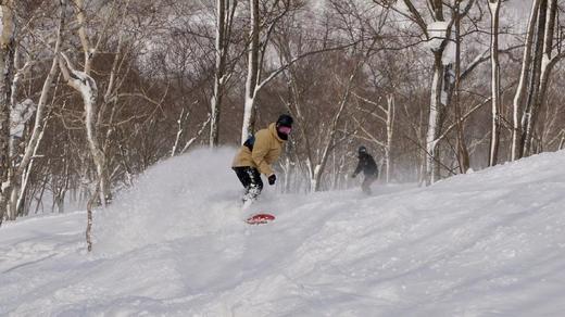 『早鸟来袭 26/27 雪季 Japow！』日本北海道NISEKO 二世谷 民宿包车 追逐粉雪 商品图1