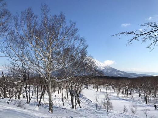 『早鸟来袭 26/27 雪季 Japow！』日本北海道NISEKO 二世谷 民宿包车 追逐粉雪 商品图3