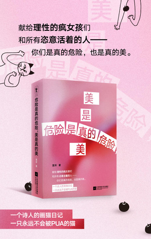 危险是真的危险，美是真的美   里所 著  磨铁图书 商品图4