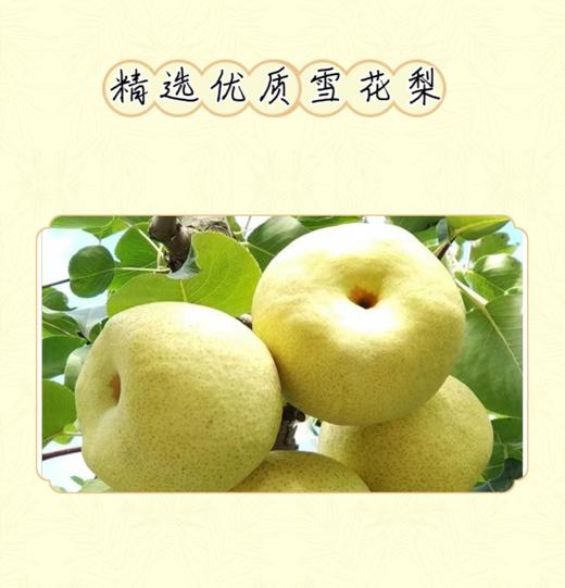 柏舍禅房  古树雪梨干260g（礼盒桶装） 商品图2