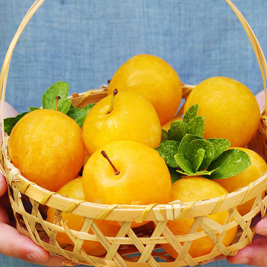 【新品上市】四川汉源桃花李 蜂糖李 新鲜应季纯甜李子 商品图4