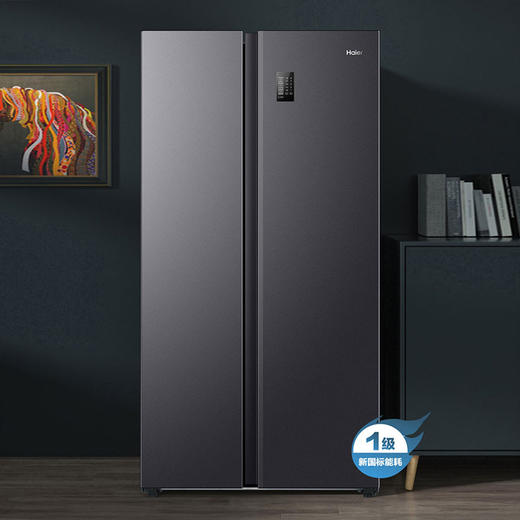 【下单前咨询地址库存】海尔(Haier)538升对开门嵌入冰箱 一级双变频节能 精控多路送风 智+魔方视窗 BCD-538WGHSSEDB9 商品图7