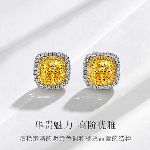 Winy925纯银蒂芙之霓耳钉送女友闺蜜节日生日礼物 商品图0