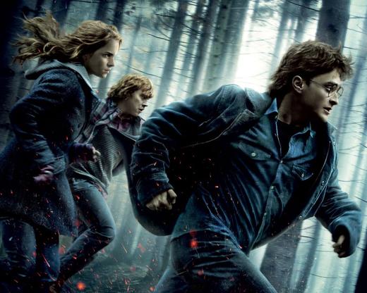 【电影】《哈利波特与死亡圣器（1-2）》德语版 商品图0