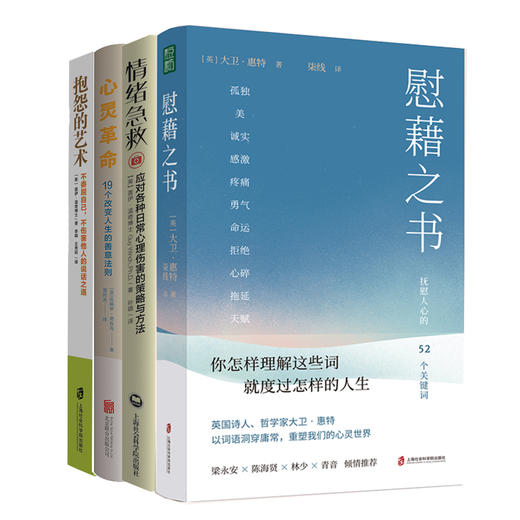 情绪急救+抱怨的艺术+心灵革命+慰藉之书【洞见专享】 商品图0