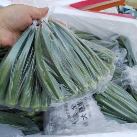 周二配送！有机秋葵为锦葵科一年生草本植物。秋葵性喜温暖，素有蔬菜王之称！秋葵具有补肾填精、保护肠胃、改善贫血、补钙、美容养颜的功效。一袋约250克，一组两袋 商品图4