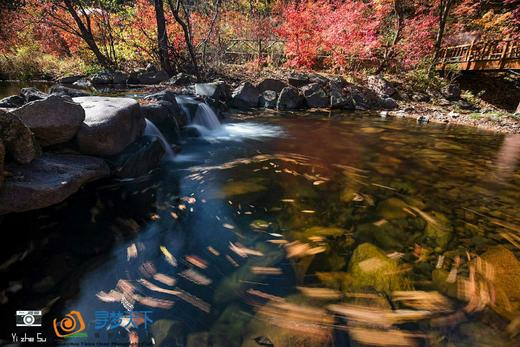 环国旅行——G331辽宁秋色：辽秋枫迷红叶+中朝边境+丹东鸭绿江+大连海滨之旅8天 商品图10