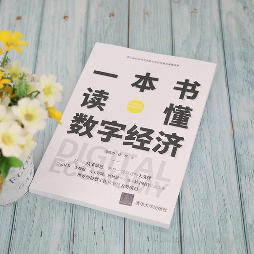 一本书读懂数字经济 李晓雨等 著 经济 商品图2