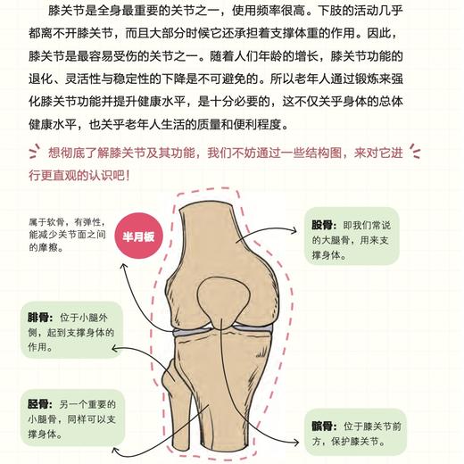 《缓解膝盖疼痛，这么练就对了》《缓解肩部疼痛，这么练就对了》《缓解腰痛，这么练就对了》中老年大图大字版 商品图9