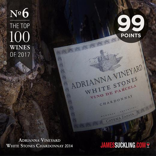 RP99准满分！阿根廷酒王 卡帝娜河之石马尔贝克干红 Catena Zapata Adrianna Vineyard River Malbec 2019【满分膜拜&百大酒款】 商品图1