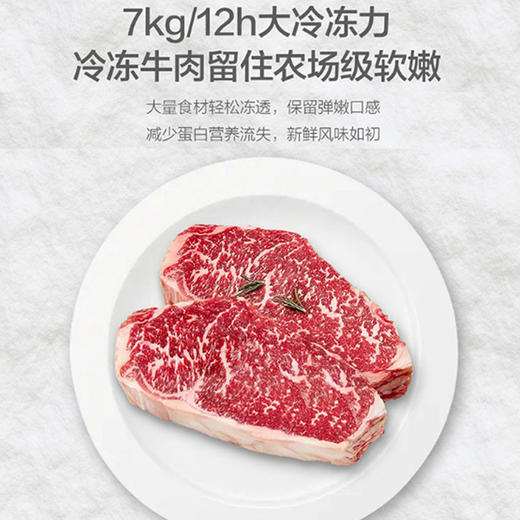 【下单前咨询地址库存】海尔(Haier)538升对开门嵌入冰箱 一级双变频节能 精控多路送风 智+魔方视窗 BCD-538WGHSSEDB9 商品图4