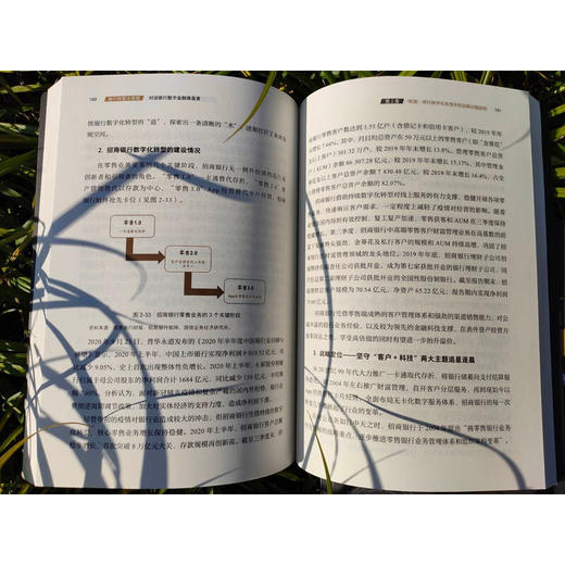 银行转型大变局 对话银行数字金融操盘者 何平等 编著 金融与投资 商品图0