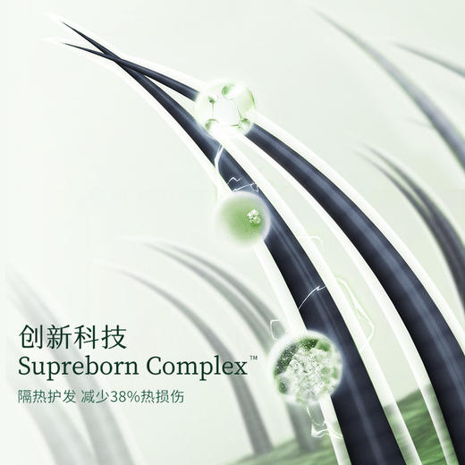 质里卓效御热护发精油 商品图1