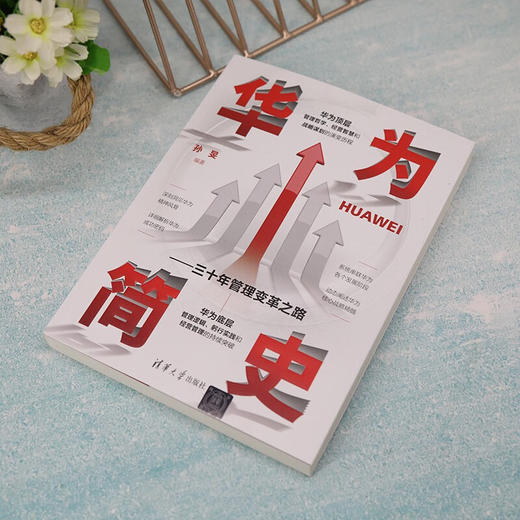 华为简史 三十年管理变革之路 孙旻 著 商业财富 商品图1