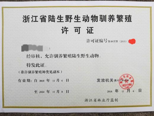 有机绿头飞鸭｜衢州发 商品图11