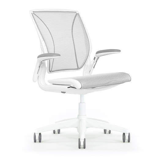 Humanscale/优门设World人体工学椅透气网面办公椅家用电脑椅 99新 商品图4