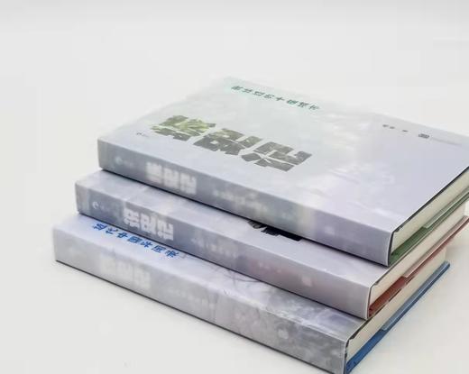 《城史记：我读过的十座城市》《野史记：近代中国异闻录》《说史记：小说一样的历史》，精装，32开，杨早著，北京联合出版有限公司2023年版，分别定价78元、80元、78元，分别售价39元、40元、39元 商品图1