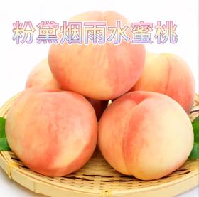 🍑当季鲜桃推荐🍑