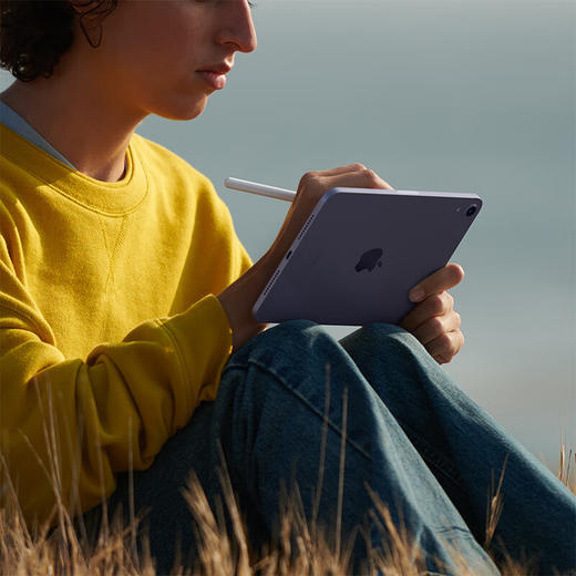 Apple iPad mini（第 6 代）8.3英寸 2021款 商品图10