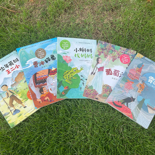 2年级上册——小学语文同步阅读(雾在哪里+葡萄沟+小蝌蚪找妈妈+曹冲称象+少年英雄王二小)(全5册) 商品图2