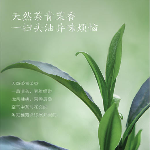 【半亩花田】新款控油蓬松香氛洗发水洗发露液去屑止痒去油柔顺洗头膏男女 商品图5