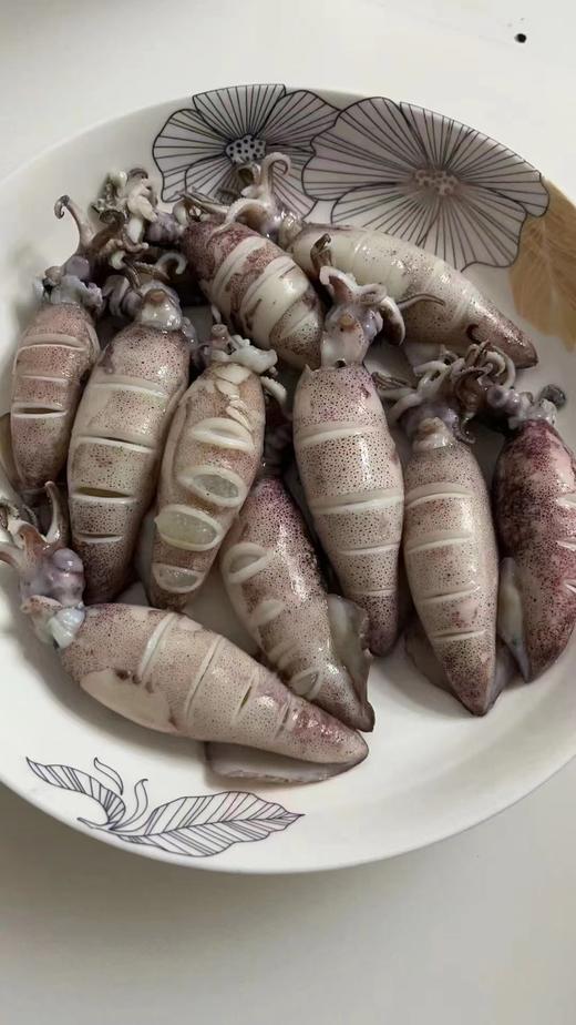 全籽笔管鱼500g/袋，高品质海鲜，肉质肥嫩鲜美，无发泡，无增重，个大鲜美，老少皆宜，营养低脂，健康美味，红烧，酱焖，沾酱，涮火锅，辣炒～～买回家秒变大厨，东三省包邮。 商品图4