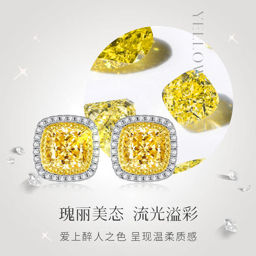 Winy925纯银蒂芙之霓耳钉送女友闺蜜节日生日礼物 商品图2