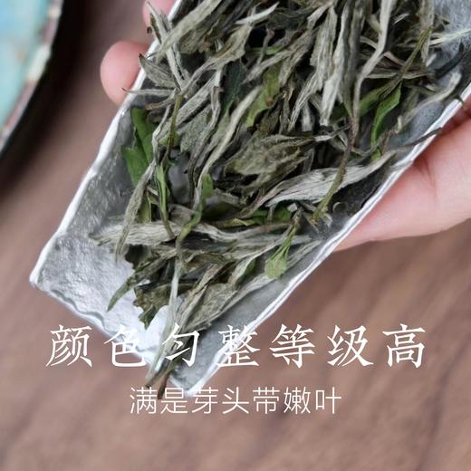 瑞雪之年获奖茶 2022 年白牡丹 收藏级福鼎白茶散茶 商品图5