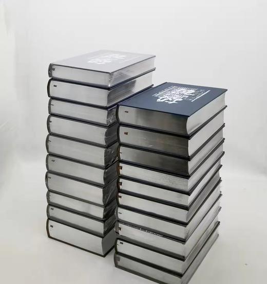 《魏源全集》全20册精装 魏源著 夏剑钦主编 商品图2