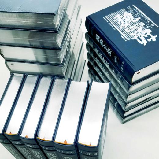 《魏源全集》全20册精装 魏源著 夏剑钦主编 商品图4