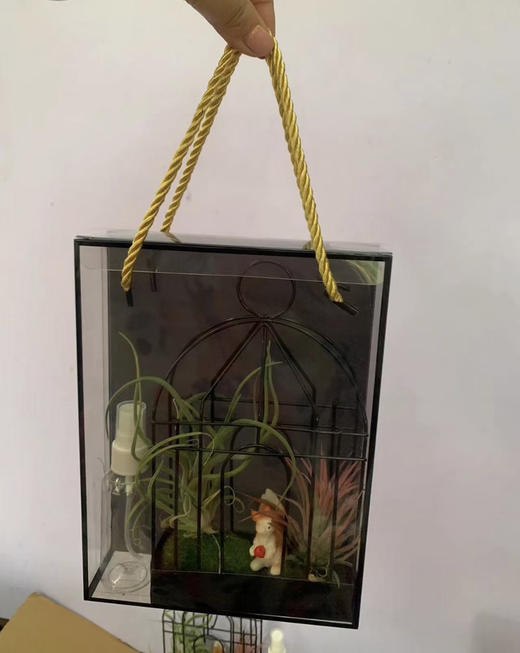 【绿植现货】空气凤梨铁艺礼盒35.9（现货 下单即可到店自提） 商品图5