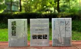 《城史记：我读过的十座城市》《野史记：近代中国异闻录》《说史记：小说一样的历史》，精装，32开，杨早著，北京联合出版有限公司2023年版，分别定价78元、80元、78元，分别售价39元、40元、39元