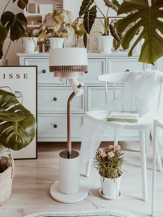 大宇空气循环扇 家用轻音立式智能摇头落地扇净化氛围灯小型电风扇F30 PRO 商品图2