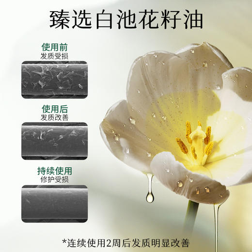 质里卓效御热护发精油 商品图3