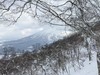 『早鸟来袭 26/27 雪季 Japow！』日本北海道NISEKO 二世谷 民宿包车 追逐粉雪 商品缩略图4