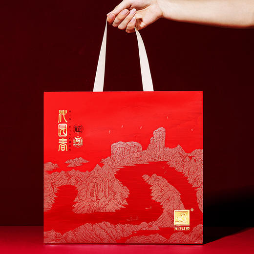 元正 沁园春礼盒 小种红茶特级武夷红茶送礼250g 商品图6