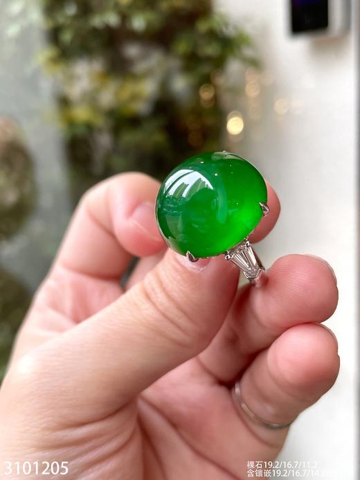 老坑艳绿蛋面戒指【3101205】具体价格微信咨询 商品图5