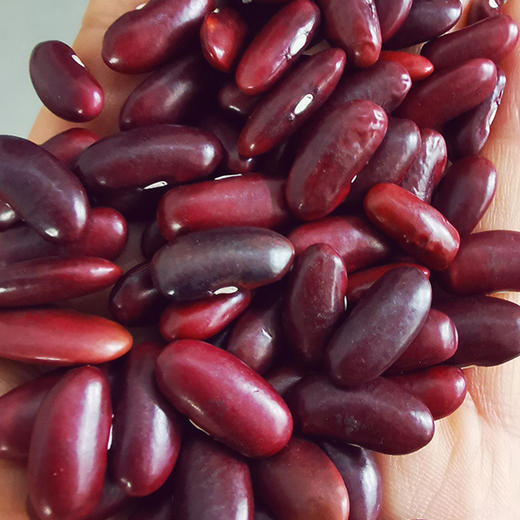 丽江农家豆豆大满贯来咯！ 红腰豆+白芸豆+大花芸豆！  香甜软糯，把你食欲值拉满！ 自然农法种植，给身体无限减负，减肥女神做减脂餐，正合适！ 看看肚子上的赘肉，默默买一箱！ 商品图1