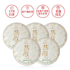 武夷星雪榕花然放3170荒野寿眉白茶福鼎原料老白茶5饼1提