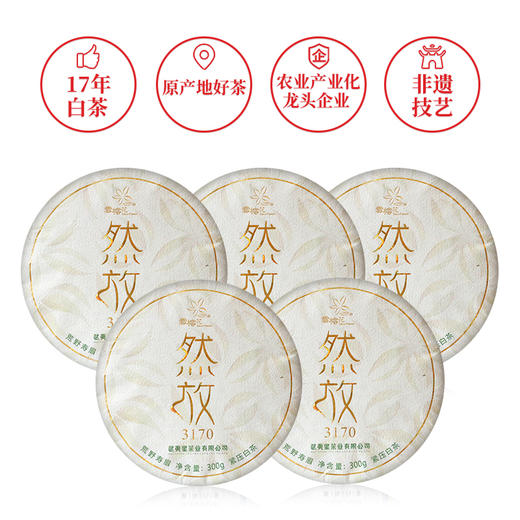 武夷星雪榕花然放3170荒野寿眉白茶福鼎原料老白茶5饼1提 商品图0