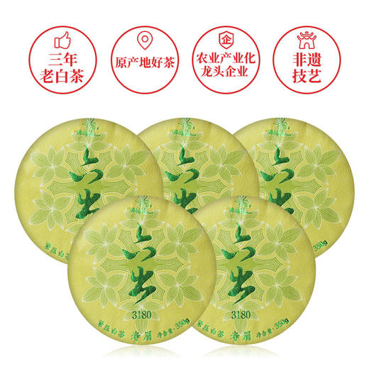 武夷星雪榕花六出3180寿眉白茶福鼎原料老白茶5饼1提礼盒装 商品图0