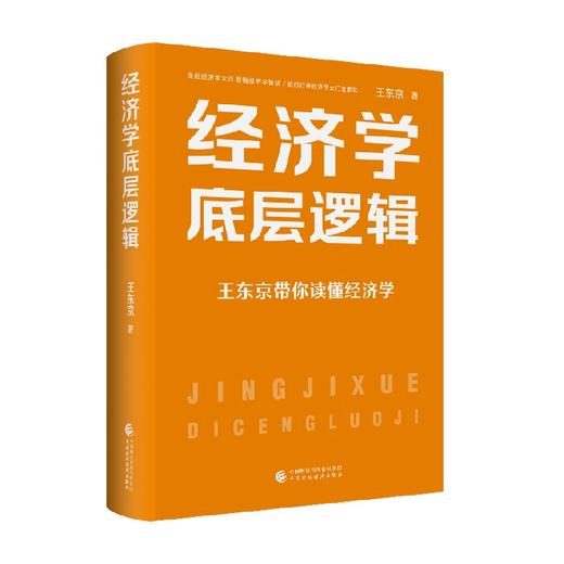 经济学底层逻辑 王东京 著 经济 商品图0